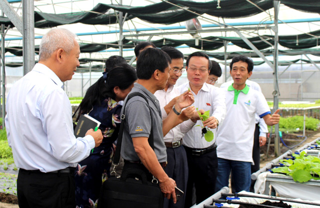 [-]Phó[-]Chủ[-]tịch[-]Quốc[-]hội:[-]"Rau[-]tại[-]đây[-]có[-]sạch[-]thật[-]không,[-]để[-]tôi[-]ăn[-]thử"?